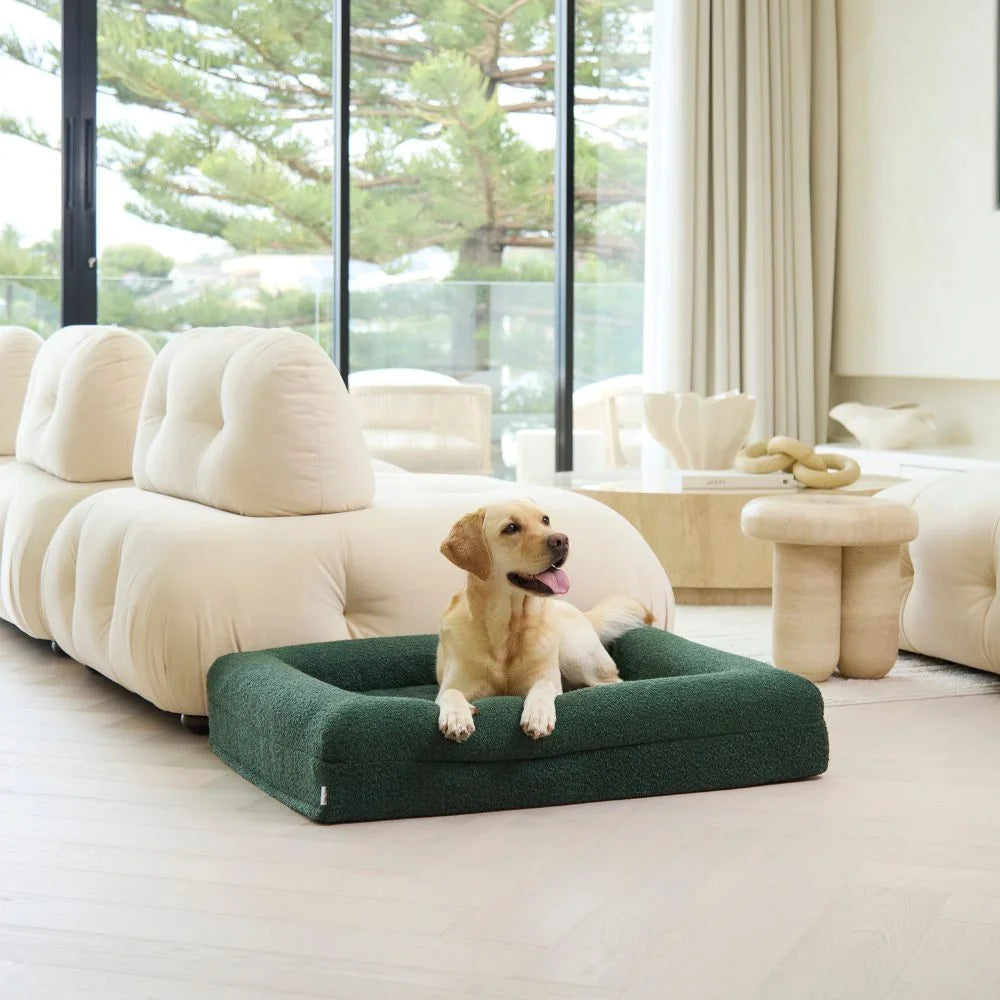 Cama Ortopédica con Memory Foam