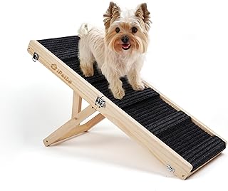 Rampa Plegable para Perros